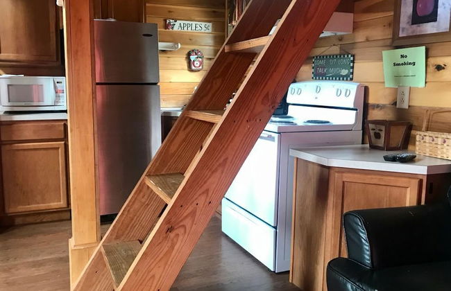 Hales Bar Marina and Resort - Foto 12