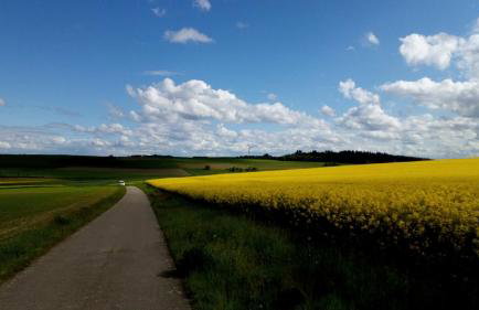 tiny house Pfalz Wellness und Wanderurlaub - Foto 44