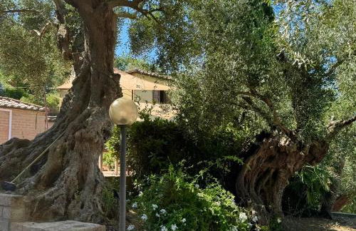 Madonna Del Poggio CAV - Apartments - Photo 51