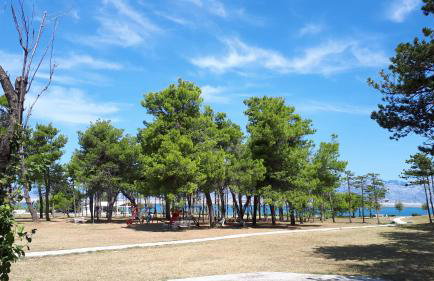 Iris Sabunike - Photo 56