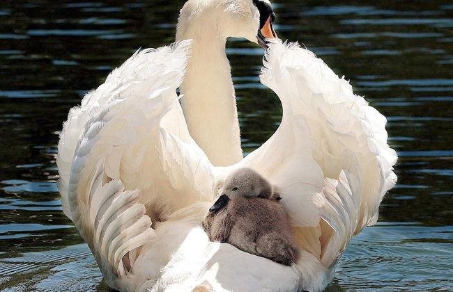 5 Person Holiday Home in Karna - Foto 6