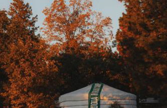 Cosy yurt at a nature retreat - Foto 43