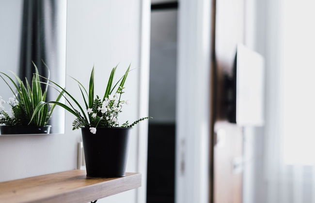 The Han YK - Photo 14