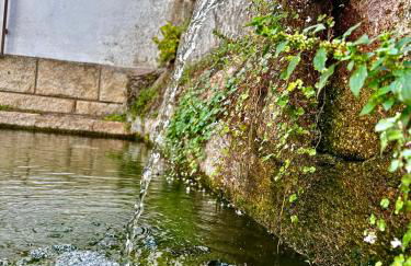 SolGredos - Photo 21