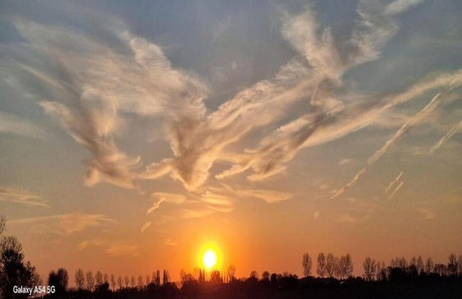 Villa Oesterdam 6 Persons - Photo 24