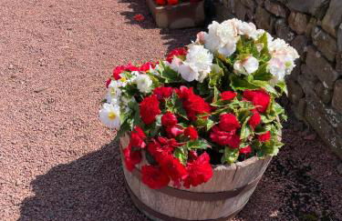 Yellow House - Foto 34