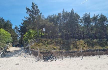 Jodłowe Zacisze - Foto 34