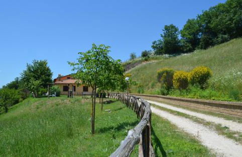 Il Vigneto - Foto 13