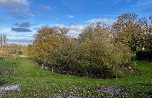 Le Domaine de Tourny - Foto 14