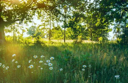 Chambres Senonches centre-ville - Foto 57