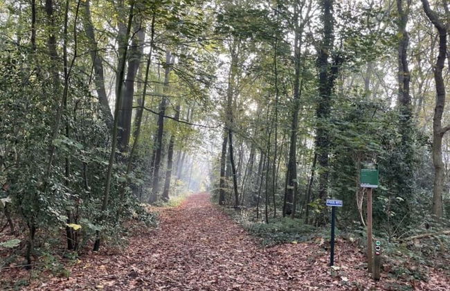 Holiday Home Zen aan zee - Foto 11