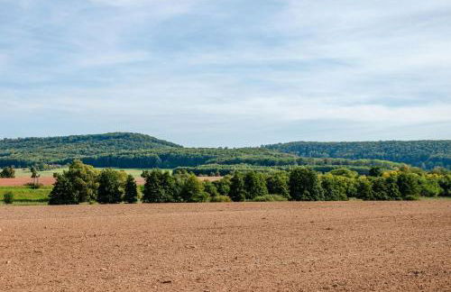 Alte Gärtnerei Fewo Veronika - Photo 30