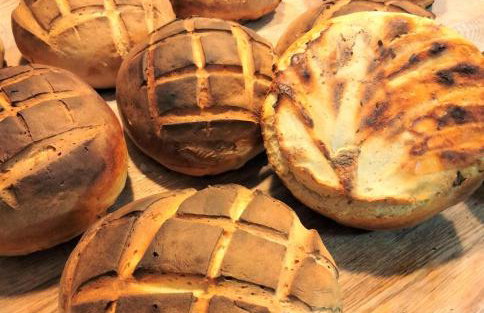 Agroturystyka Piechowscy - Foto 53