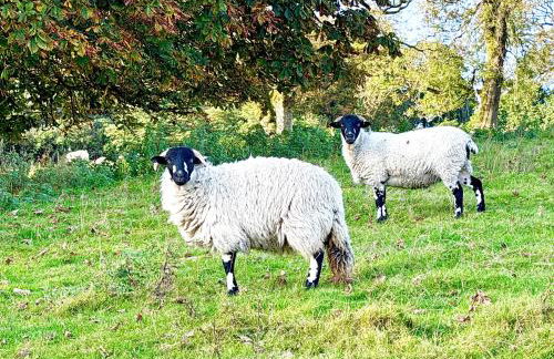 Grange Cottage - Foto 33