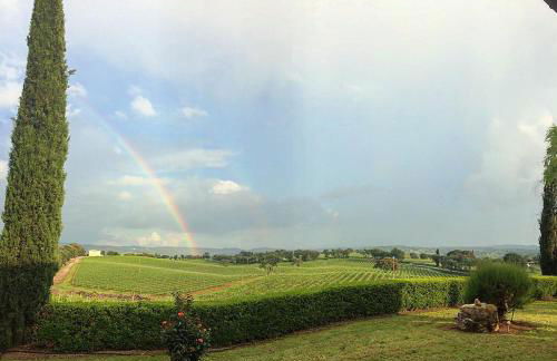 Agriturismo Diaccialone - Foto 46