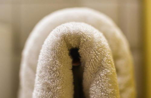 Baumann & Müller - Foto 13