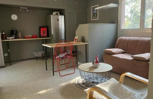 La Pujauline - Photo 12