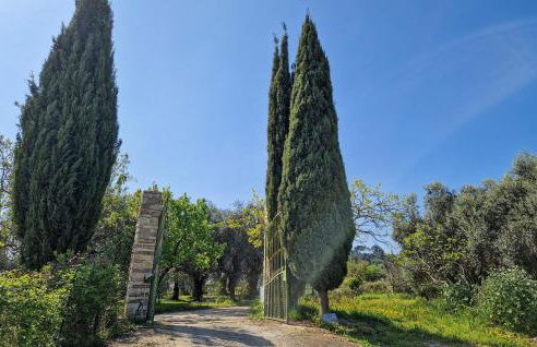 Gorgeous Apartment In Camporosso - Photo 17