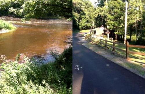 Comfortable Cabin Rental Perfect for an Outdoor Adventure near Elkins, West Virginia - Foto 19