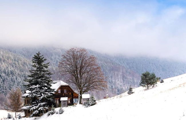 Lipowe Wzgórze - Photo 39