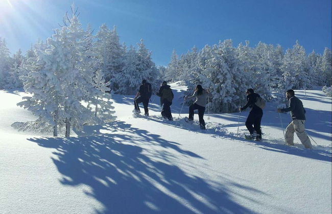 Grandvalira Snowshoe Hike - Photo 8