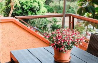 Stella Maris Holidays - Foto 5