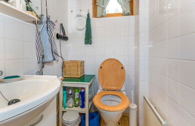 Metsä-iivari - Foto 15