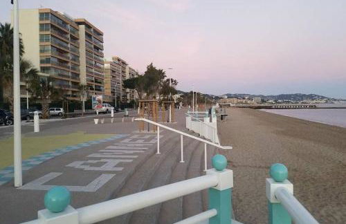 Royal Palm - Foto 14