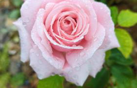 La Balnière Normande - Foto 9