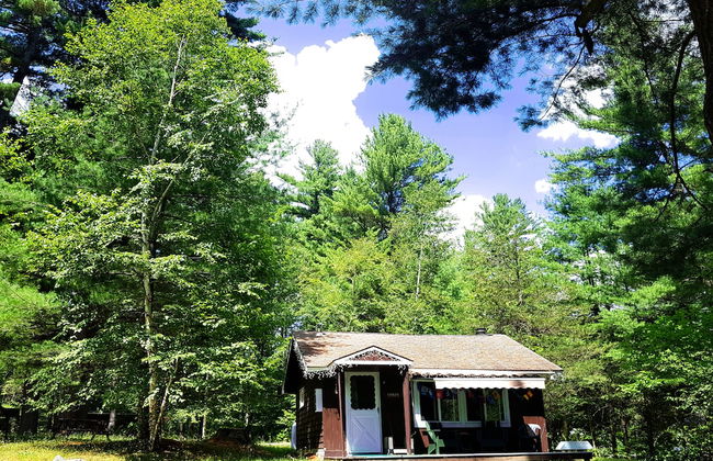 The Wilderness Inn - Foto 59