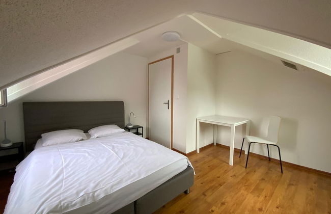 Swiss Star California - Foto 15