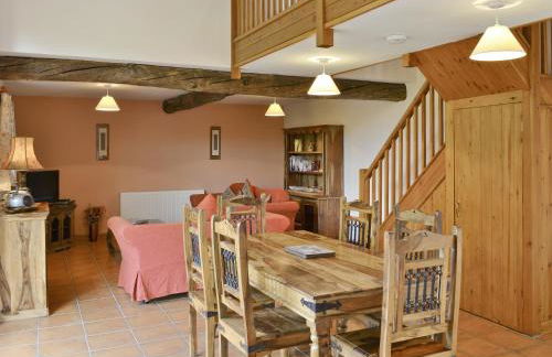 Sorrel - E4321 - Foto 6