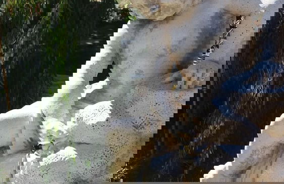 Agriturismo Ercolana - Photo 33