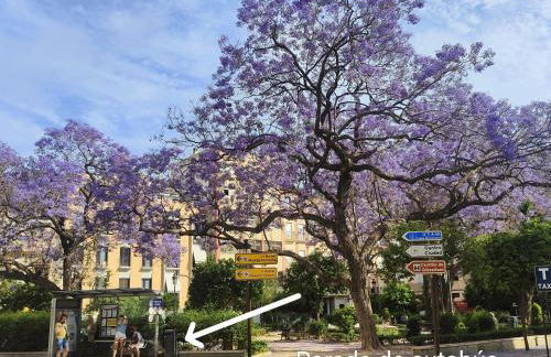 M&D Centro Málaga - Photo 27