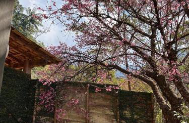 Vale das Quaresmeiras - Foto 61