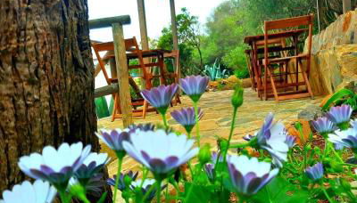 Marettimo Residence - Foto 5, Garden, Garden view