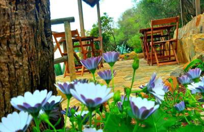 Marettimo Residence - Foto 5