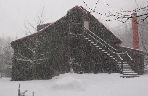 Ropuszy Dwór - Foto 40