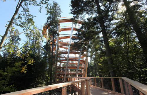 Haus Mühlgrund - Foto 14