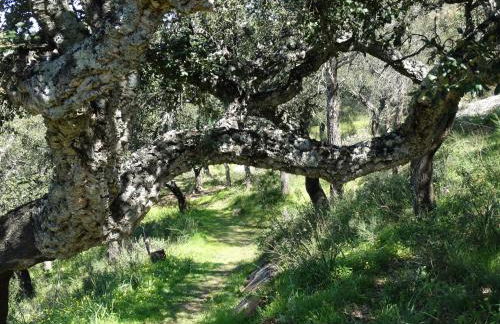 Alojamiento Rural El Lario - Foto 8