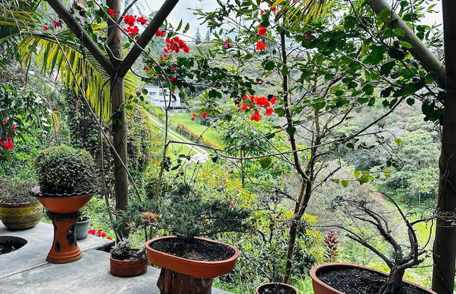 ecohotel zona 7 - Photo 43