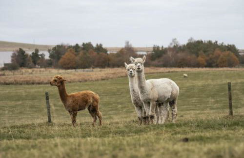 Cairns Farmhouse - Foto 50