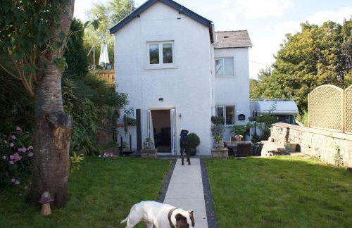 Cartref, 1860s family home. - Foto 12