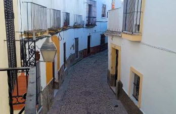 La Alboreá - Foto 62