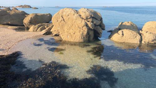 Les 3 couronnes - Foto 4