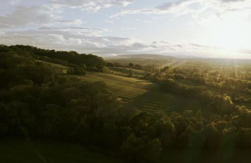 Badgers Sett - Photo 6