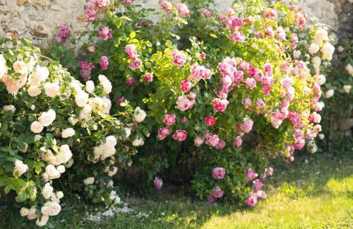 Gite L'orchidée - Foto 5