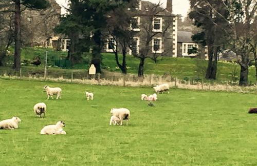 Winkston Holiday Accommodation Peebles - Foto 50