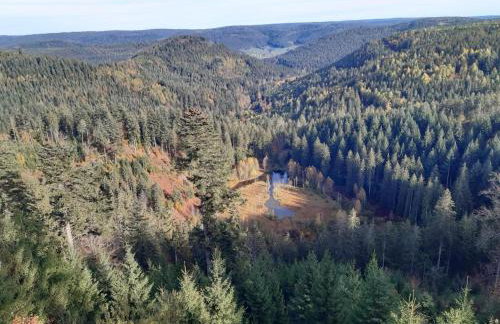 Fewo Schwarzwald Von Oben - Kniebis - Foto 30