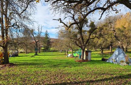 Ferienwohnung Hobbyhof Deggenhausertal - Photo 16